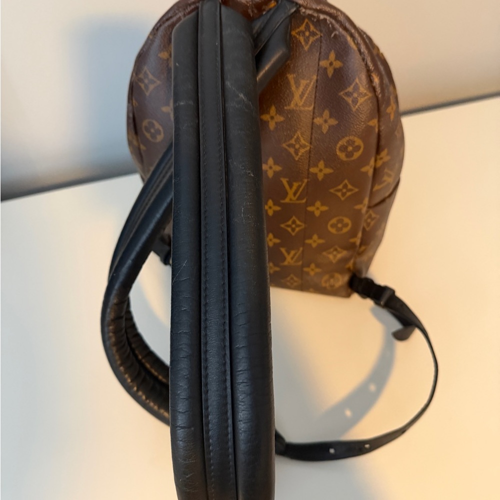 Louis Vuitton Monogram Pm Backpack - image 3